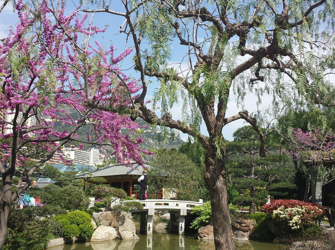 Princess Grace Japanese Garden-蒙特卡洛必去景点