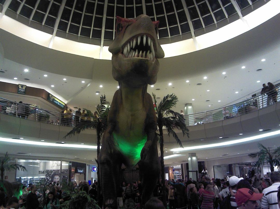 Park Shopping Barigui-库里提巴必去景点