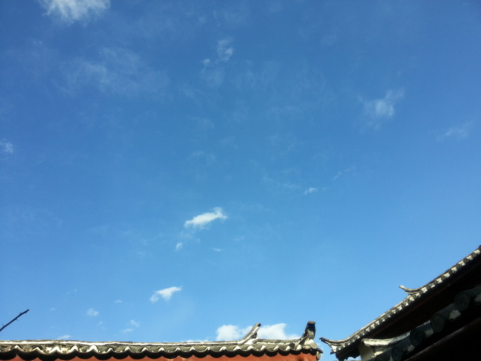 屋顶上的瓦猫小栈-客卧