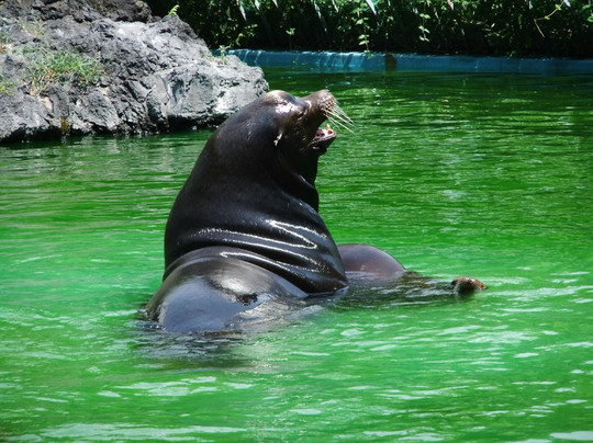 天王寺动物园-大阪市必去景点