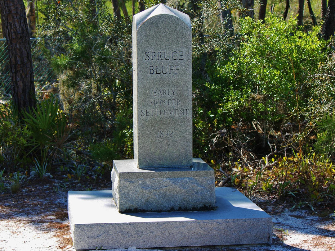 Spruce Bluff Preserve-圣露西港必去景点