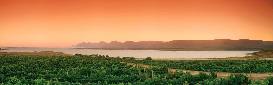 Benguela Cove Lagoon Wine Estate-赫曼努斯必去景点