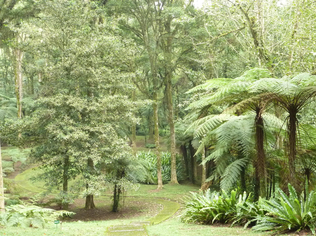 Bali Botanic Garden-达巴南必去景点