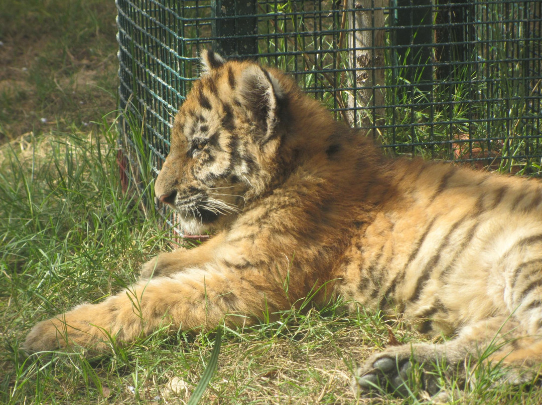 Emirates Park Zoo & Resort-阿布扎比必去景点