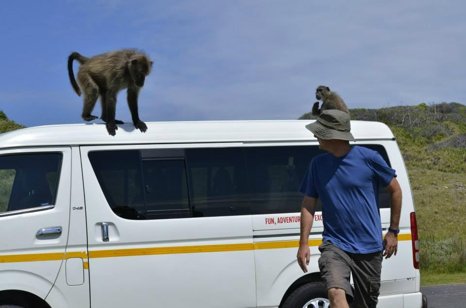Cape Convoy-开普敦中心区必去景点