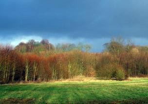 Prestwich Forest Park