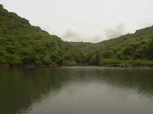 Arambol Beach景点图片