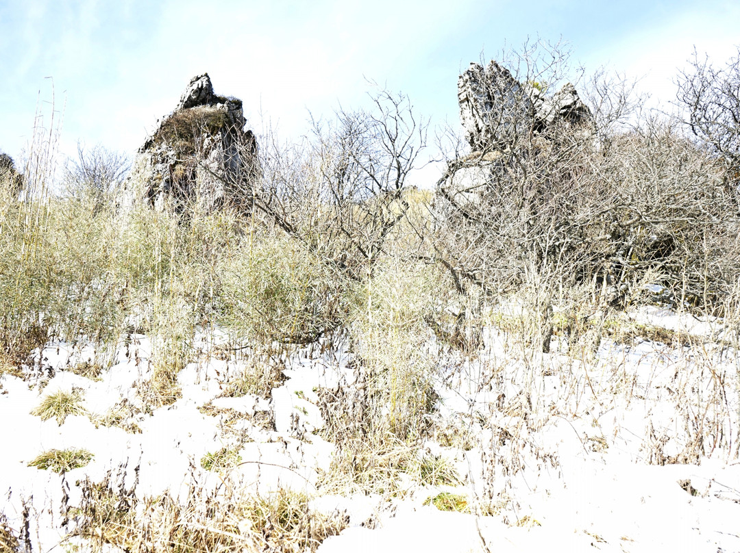 神农顶国家自然保护区-神农架林区必去景点