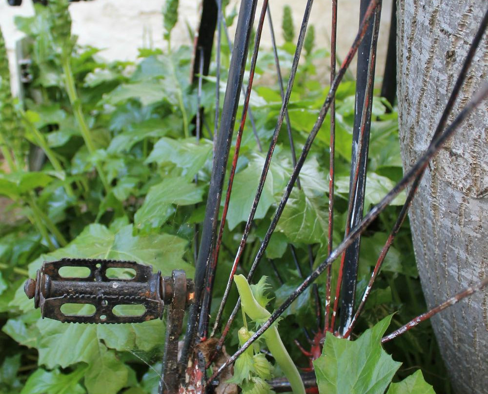 Old Colony Inn B&B主图