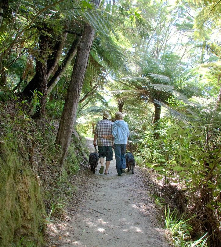 Davies Bay Campsite景点图片