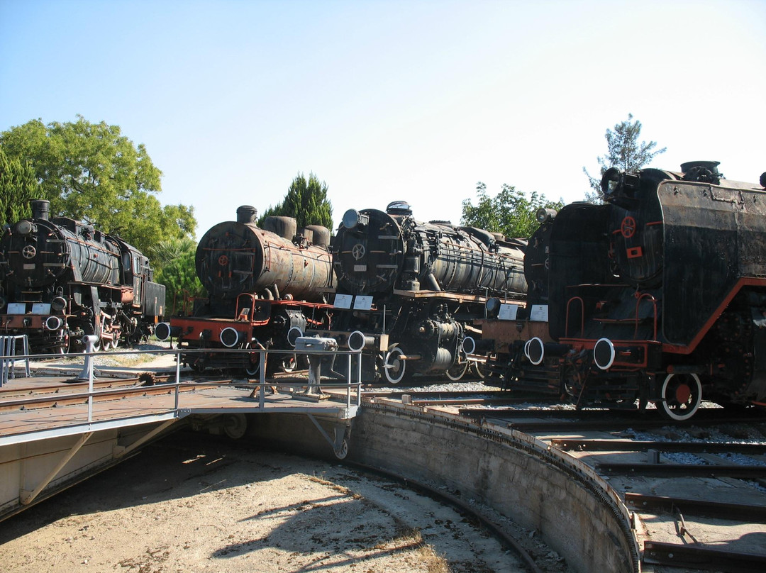 Camlik Locomotive Museum景点图片
