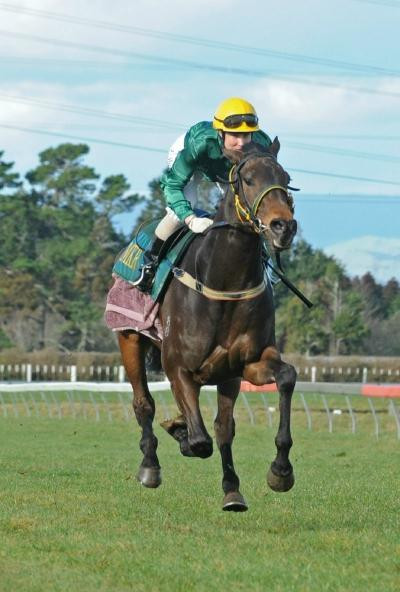 Te Kapua Racecourse景点图片