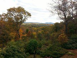 At Poetry Ridge Bed and Breakfast-酒店景观