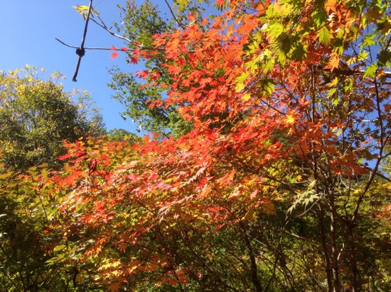 天桥沟-宽甸满族自治县必去景点