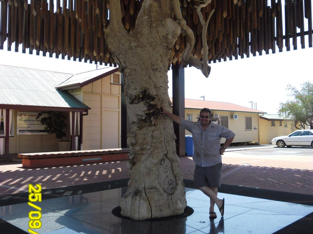 Tree Of Knowledge-Barcaldine必去景点