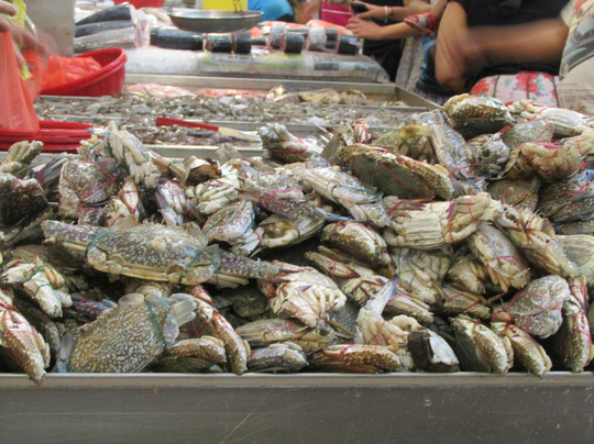 Tekka Centre-新加坡必去景点