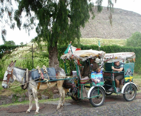 Urban Day Trips-墨西哥城必去景点