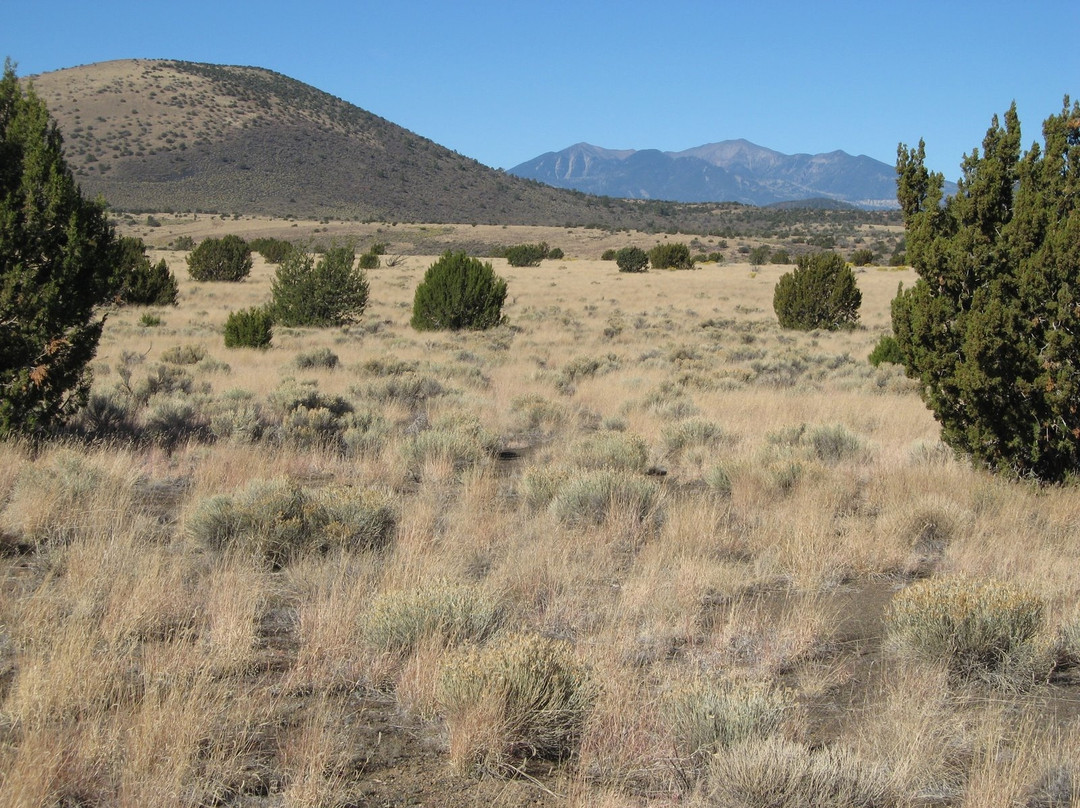 Beale Wagon Road Historic Trail-威廉姆斯必去景点