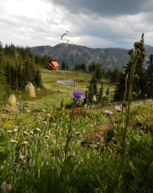 Wells Gray Adventures景点图片