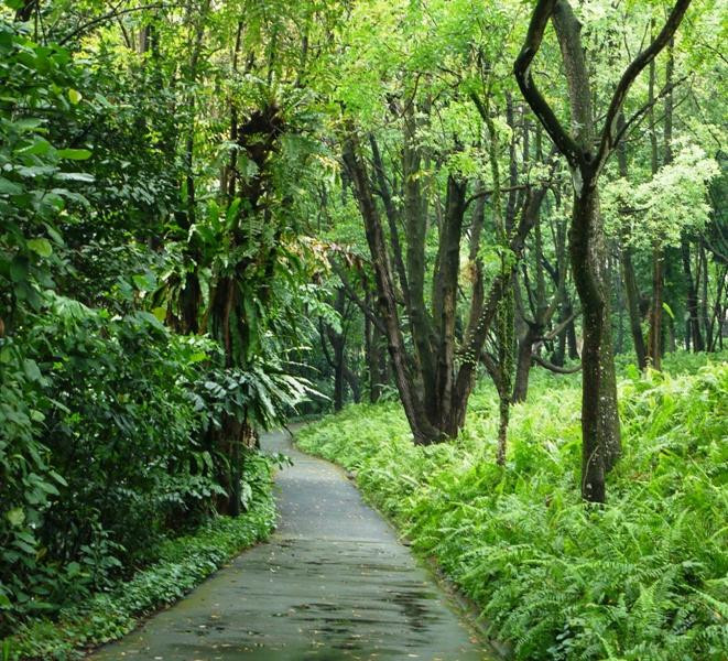 新加坡南部山脊-新加坡必去景点