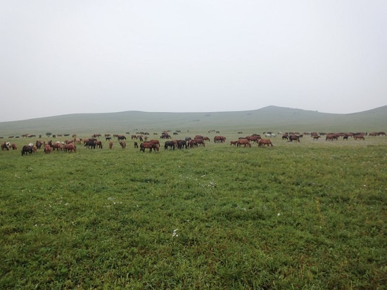 丰宁坝上草原-丰宁满族自治县必去景点