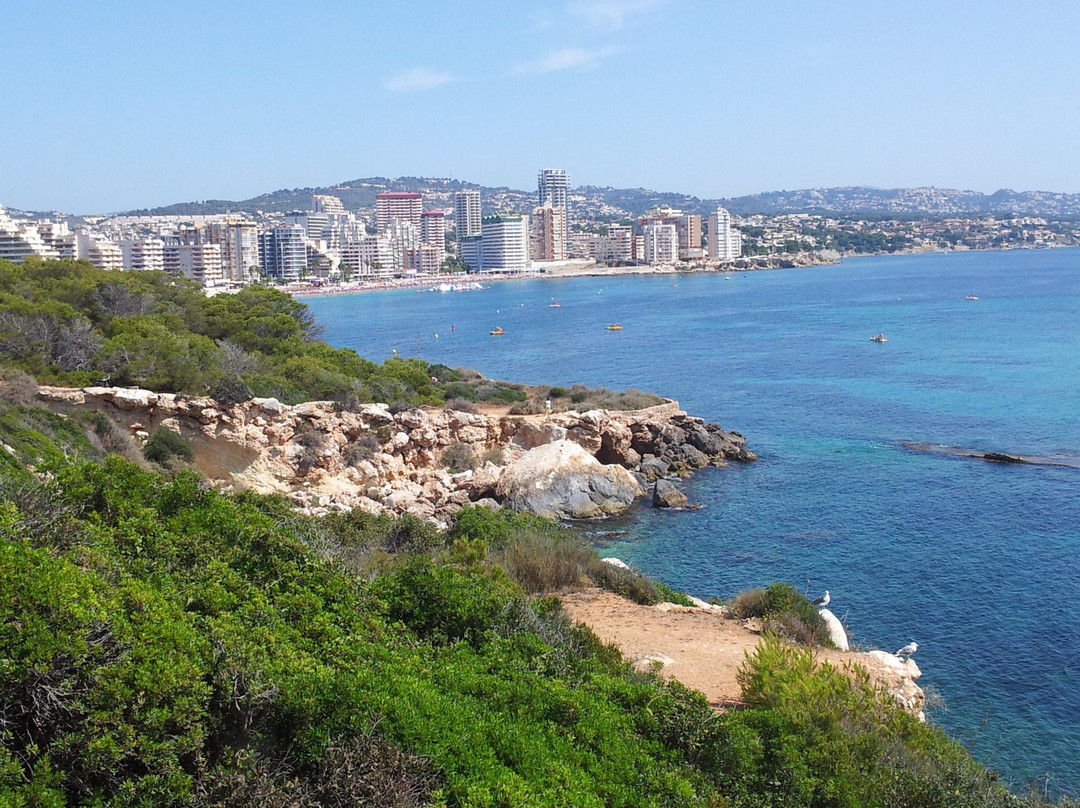 Playa de Levante o la Fossa景点图片
