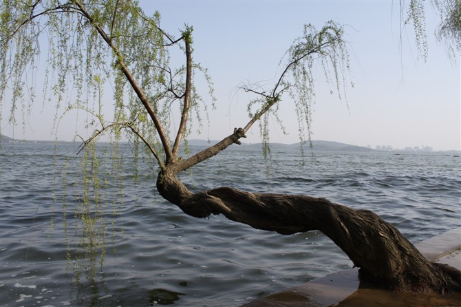 武汉东湖-武汉市必去景点