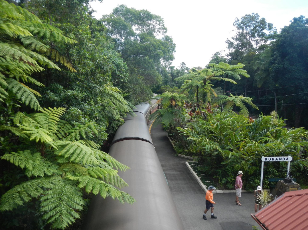 库兰达观光火车-凯恩斯必去景点