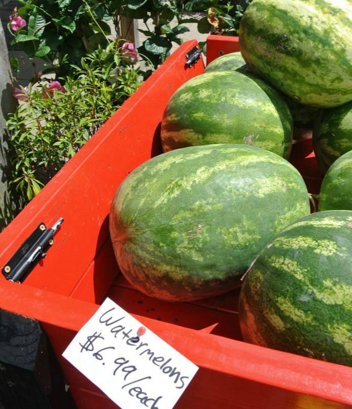 Poor Farmer's Market Country Store景点图片