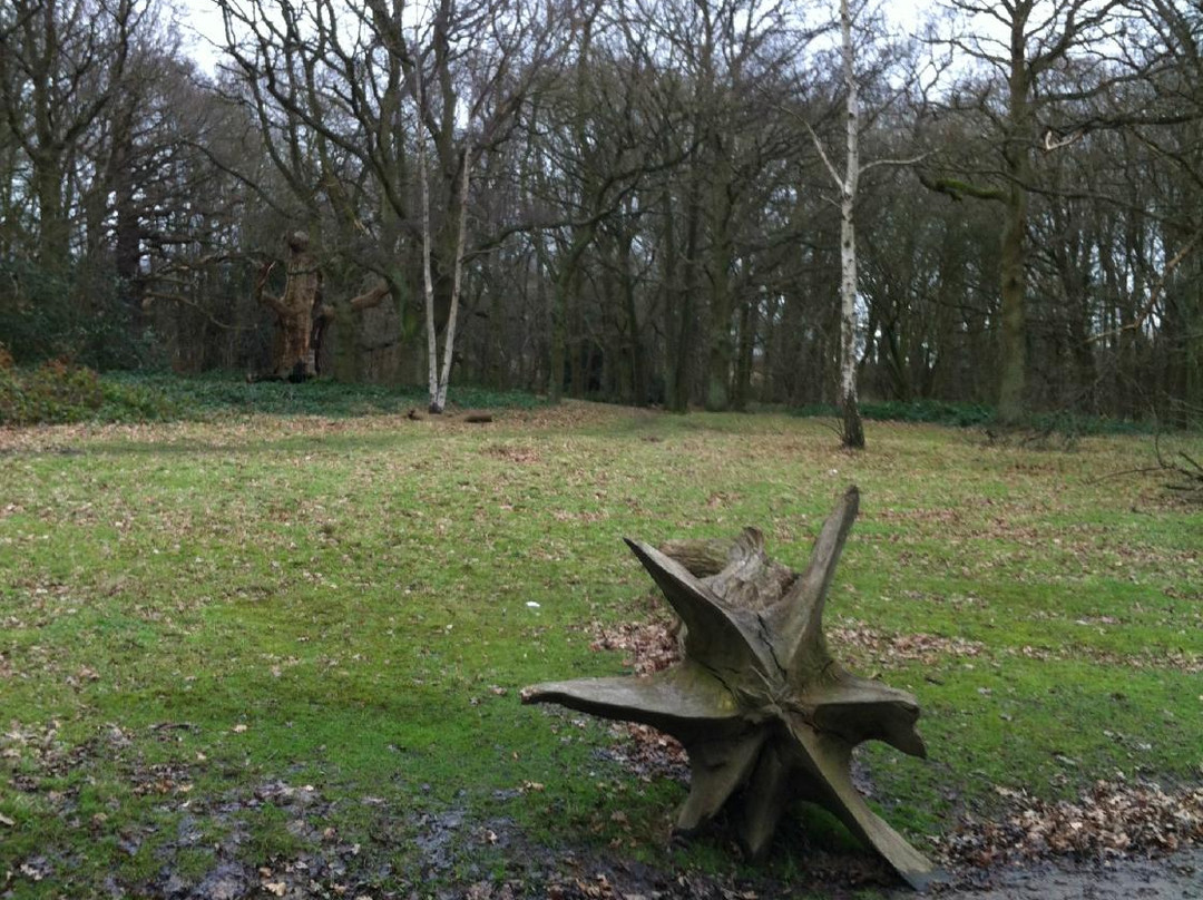 Thorndon Country Park景点图片
