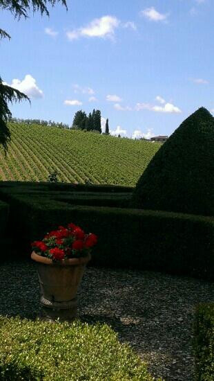 Tenuta Ruffino Poggio Casciano-巴尼奥阿里波利必去景点