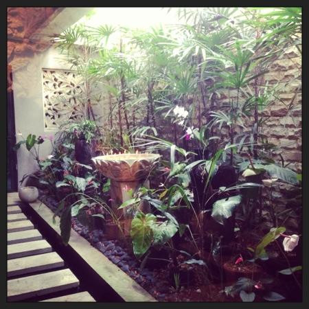 Pure Fiji Spa-苏瓦必去景点