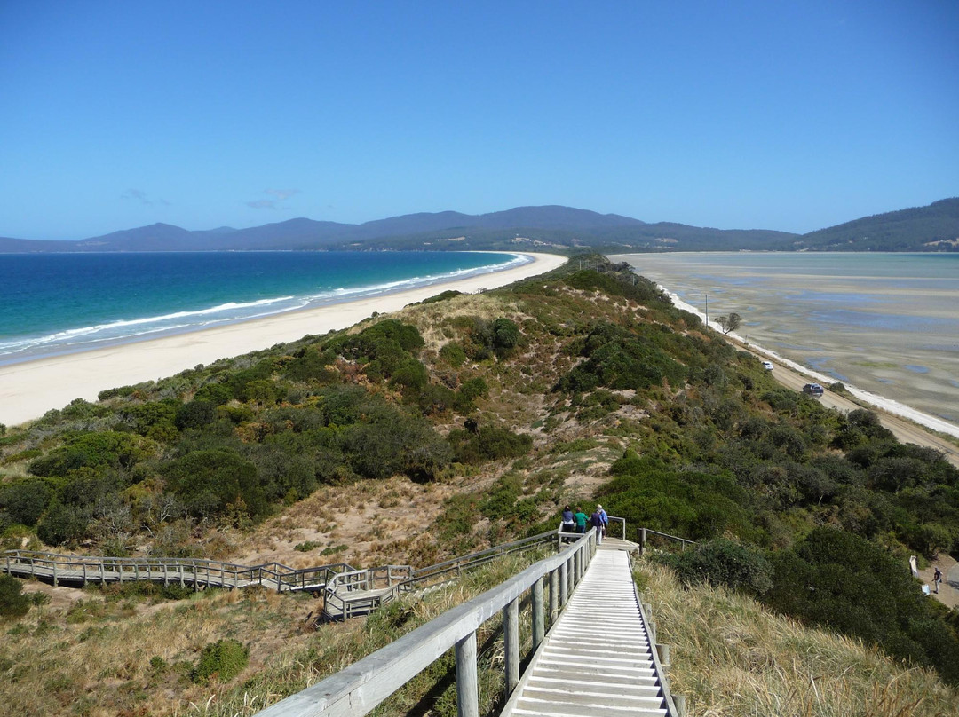 Bruny Island Safaris-霍巴特必去景点