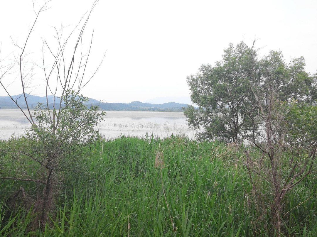 Upo Wetland-昌宁郡必去景点