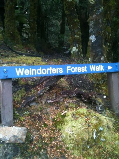 Tasmania Boutique Tours-温耶德必去景点