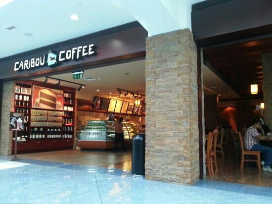 Caribou Coffee