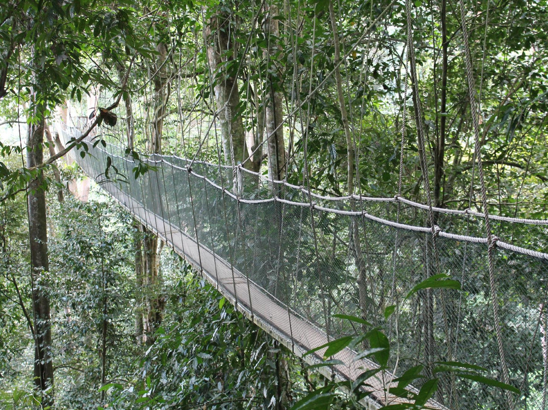 天蓬走道-亚庇必去景点
