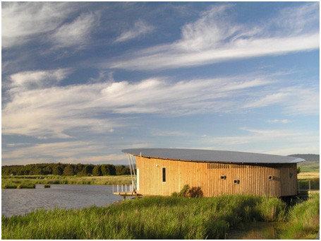 Tamar Island Wetlands景点图片