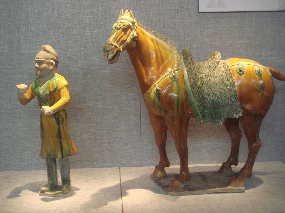 洛阳博物馆-洛阳市必去景点