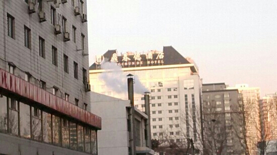 鼎春德酒店-客卧