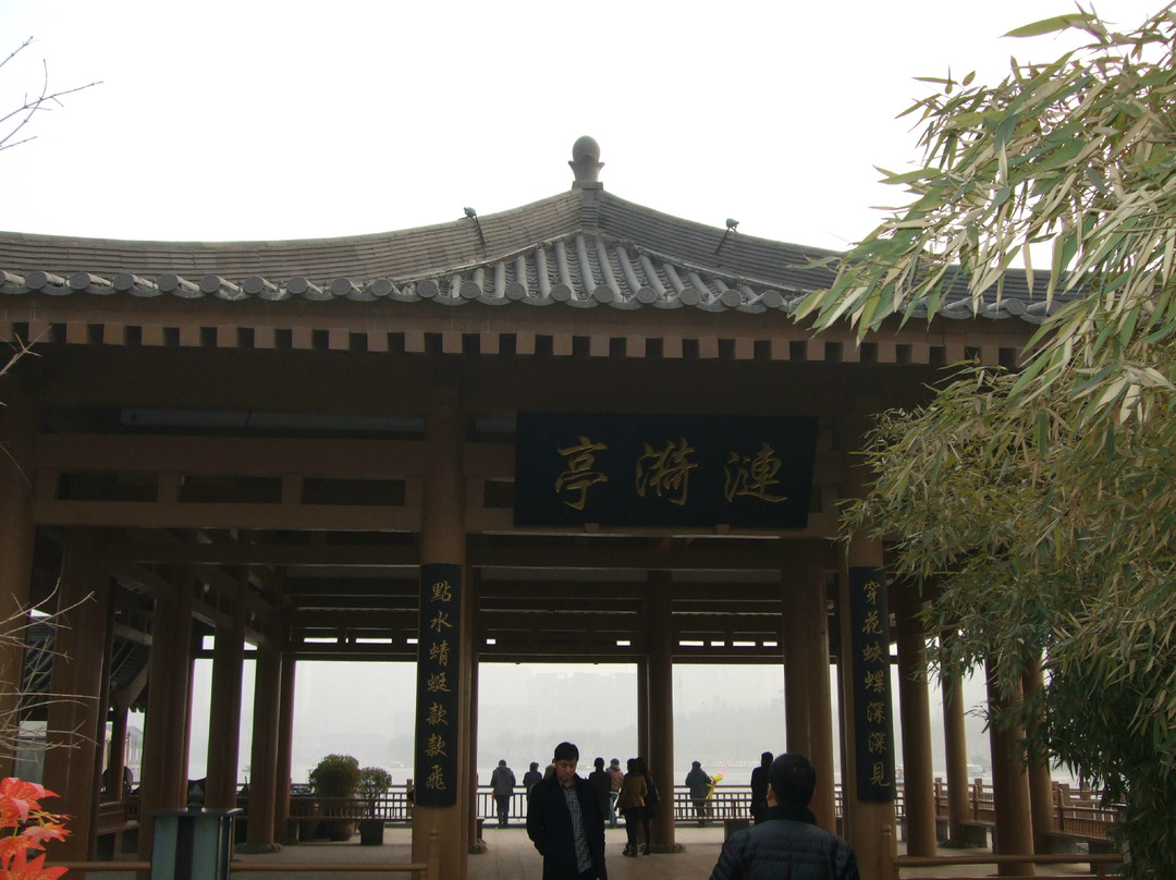 西安曲江遗址公园-西安市必去景点