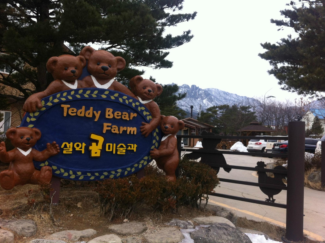 Teddy Bear Farm-束草市必去景点
