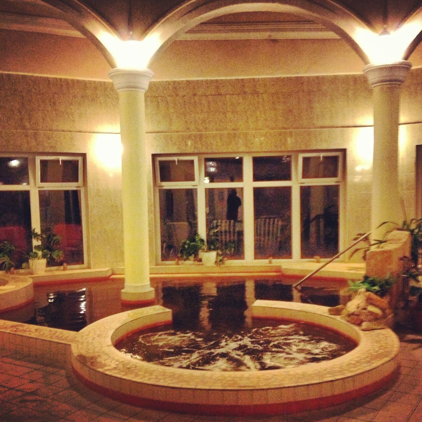 Termal Hotel Pavai-泳池