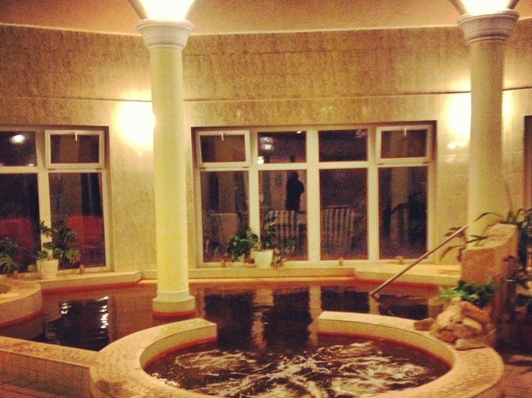Puspokladany酒店住宿-Termal Hotel Pavai