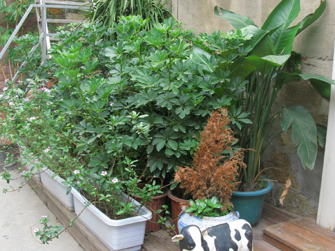 厝物FEN-厦门市必去景点