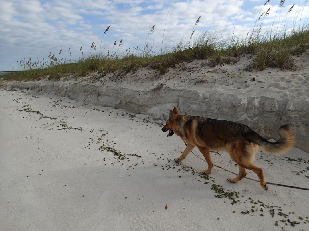 Smyrna Dunes Park-新士麦那海滩必去景点