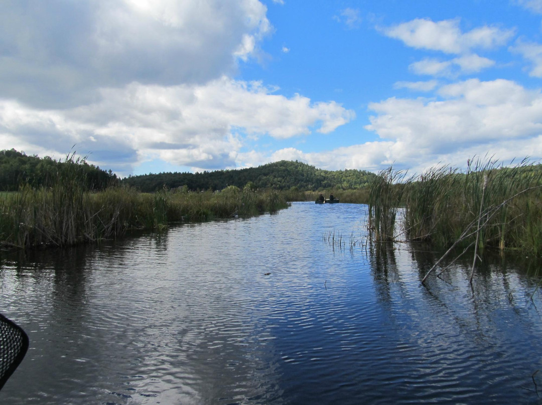 Eco-Odyssee-Wakefield必去景点