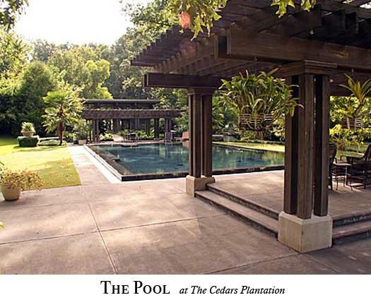 The Cedars Plantation主图