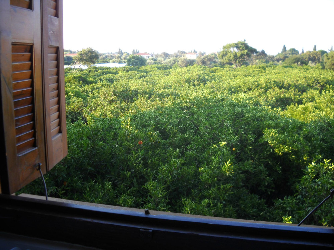 Arhodico Agricultural Pension主图