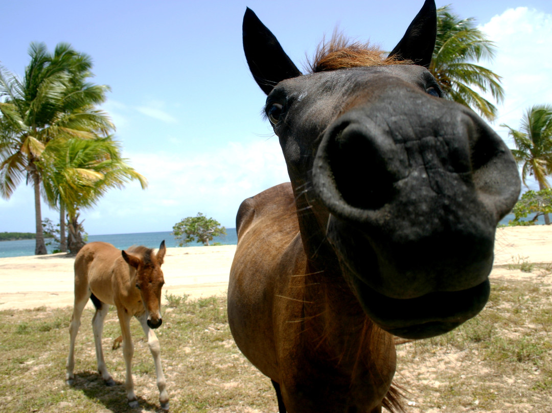 Balneario Sun Bay-Puerto Real必去景点